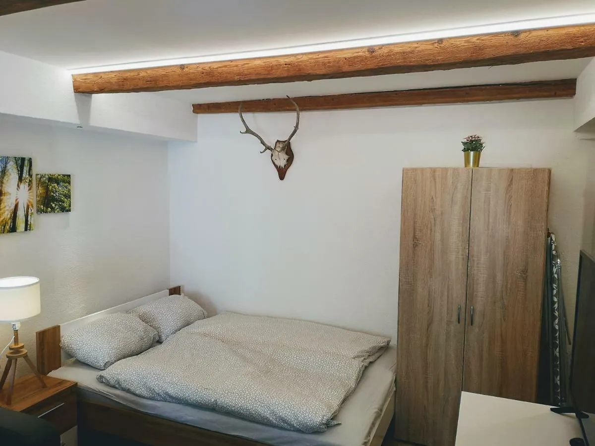 Deluxe Innsbruck Town Studio