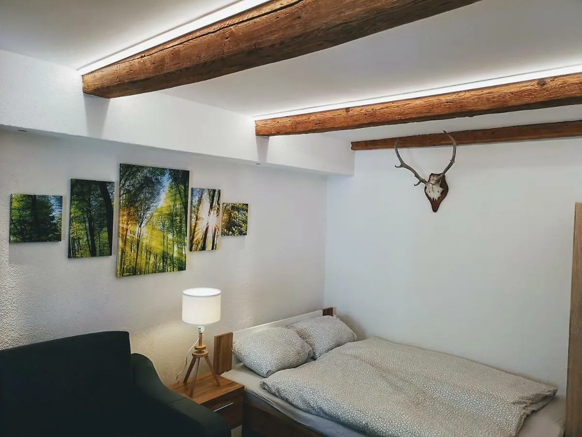 Deluxe Innsbruck Town Studio
