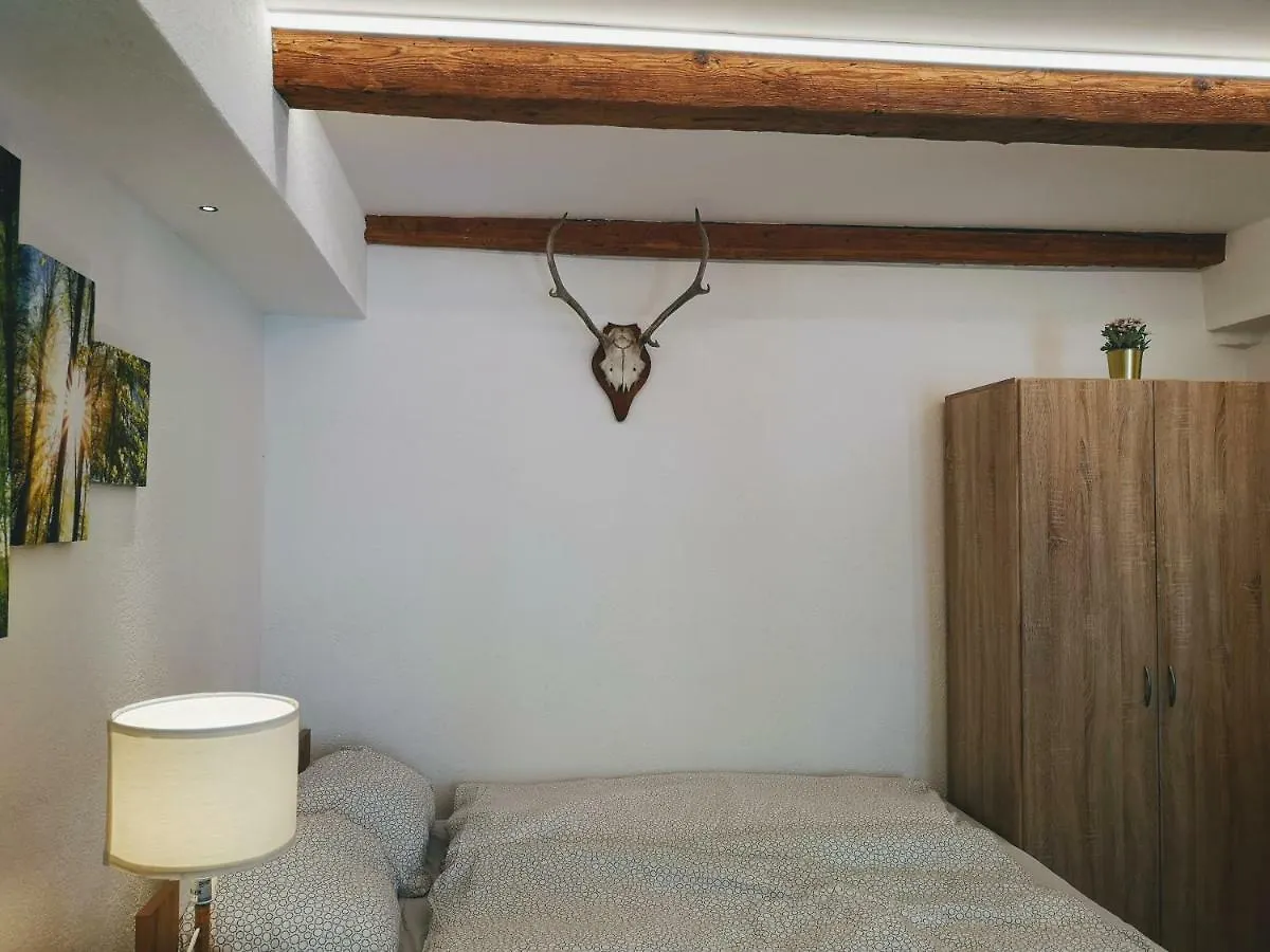 Apartment Deluxe Innsbruck Town Studio