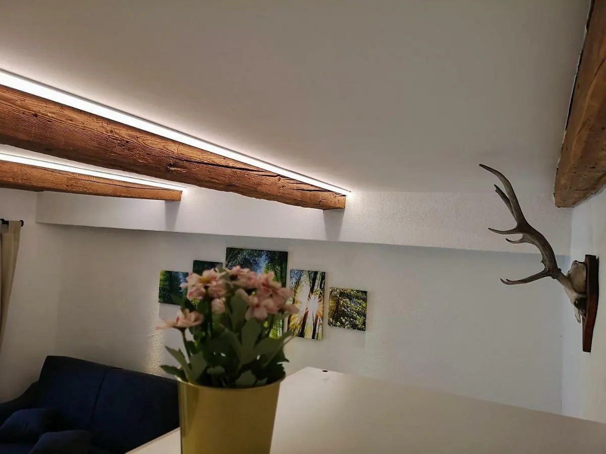 Deluxe Innsbruck Town Studio Apartment