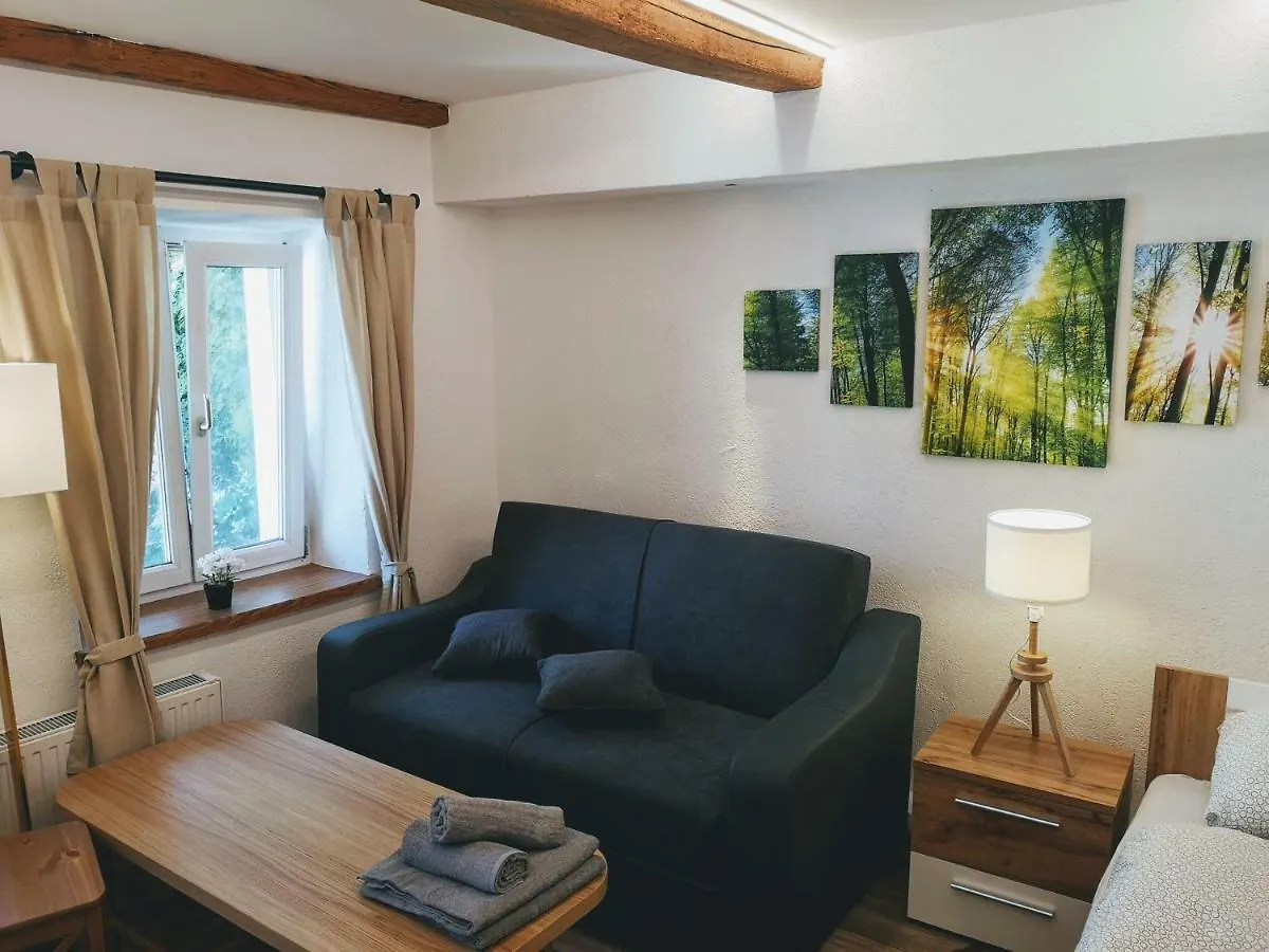 Deluxe Innsbruck Town Studio Apartment